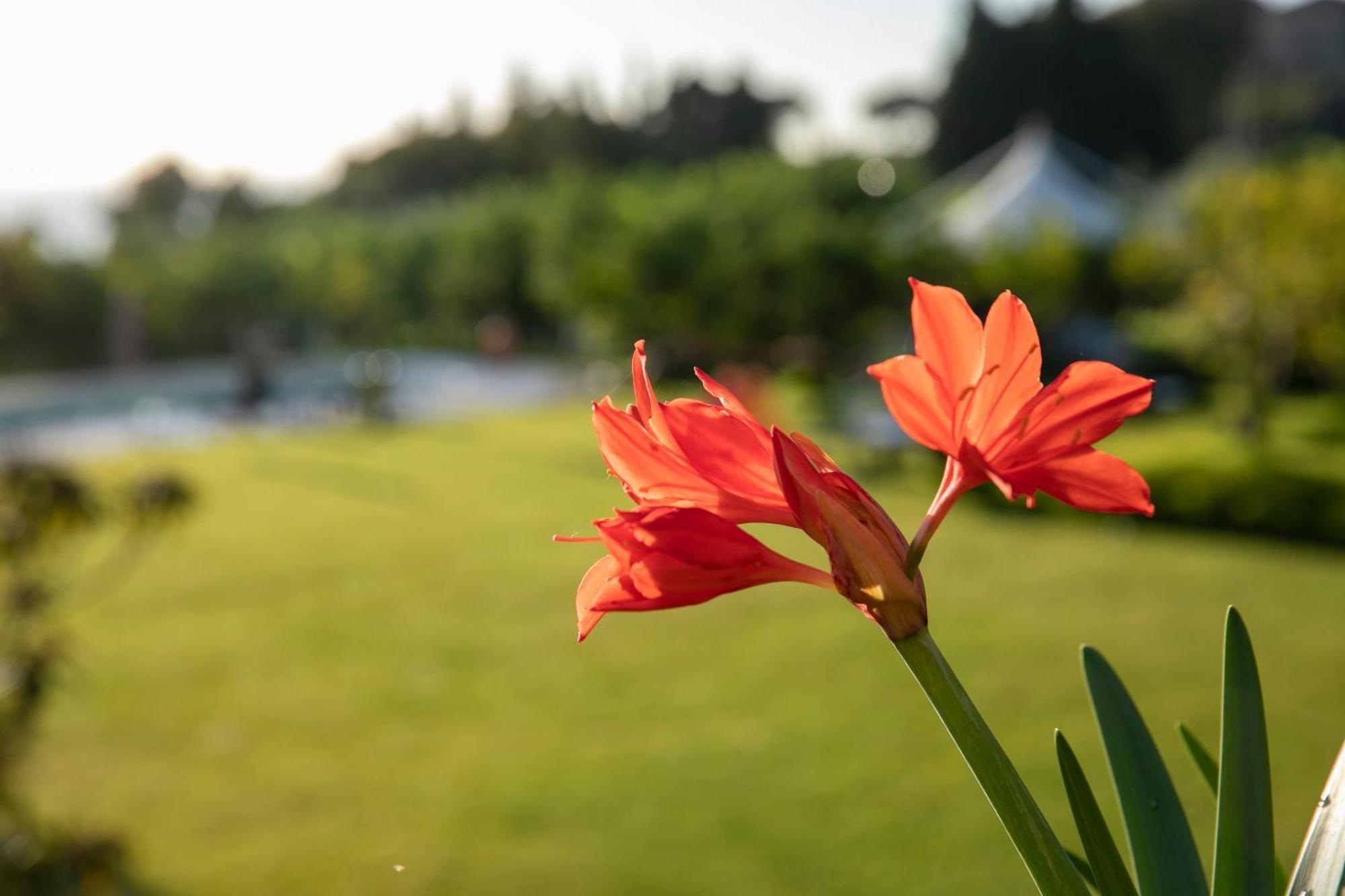 Agriturismo San Leonardello Экстерьер фото